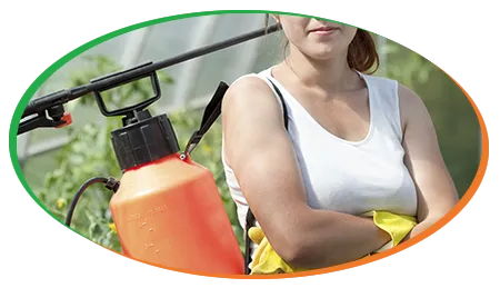 Control de plagas y enfermedades - home