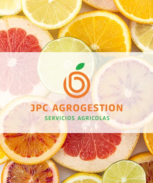 Sobre Nosotros - JPC