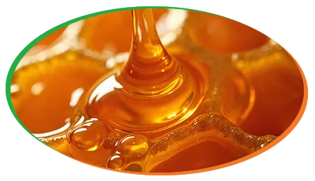 Venta de miel natural